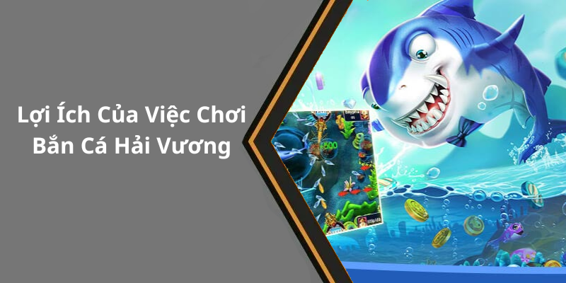 Lợi Ích Của Việc Chơi Bắn Cá Hải Vương